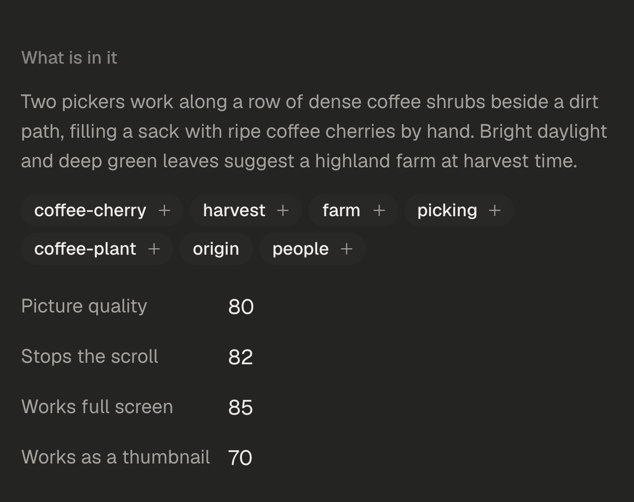 The details of a photo under What is in it: a one-sentence description of the picture and a row of tags.