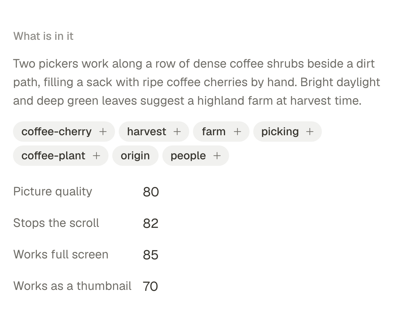 The details of a photo under What is in it: a one-sentence description of the picture and a row of tags.