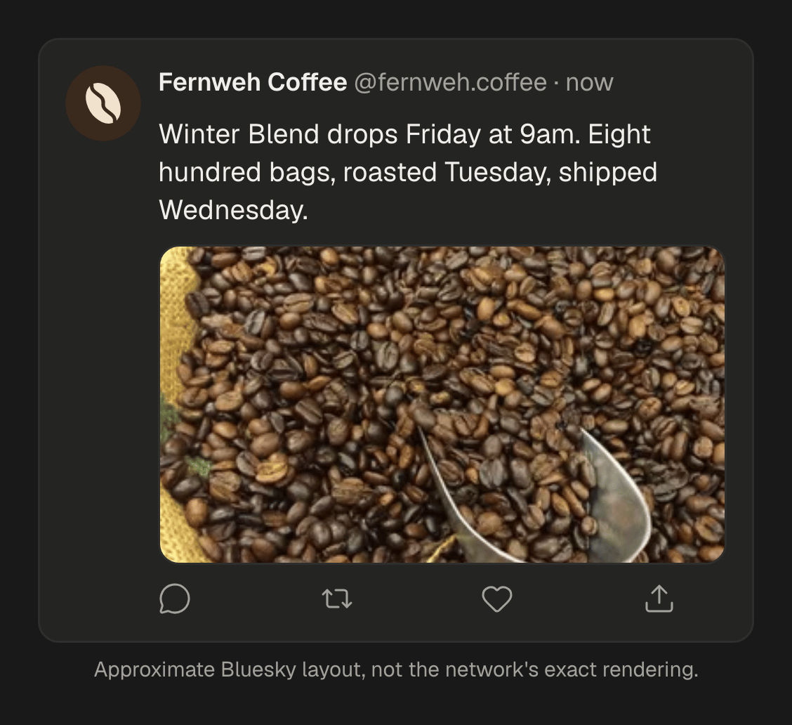 One post as it will look on X, LinkedIn and Bluesky, with a photo of coffee beans and the text of a product launch.